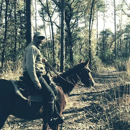 Bb Nel Pagliaio Taino