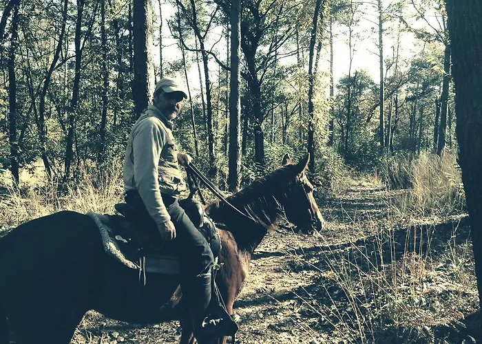 Bb Nel Pagliaio Taino