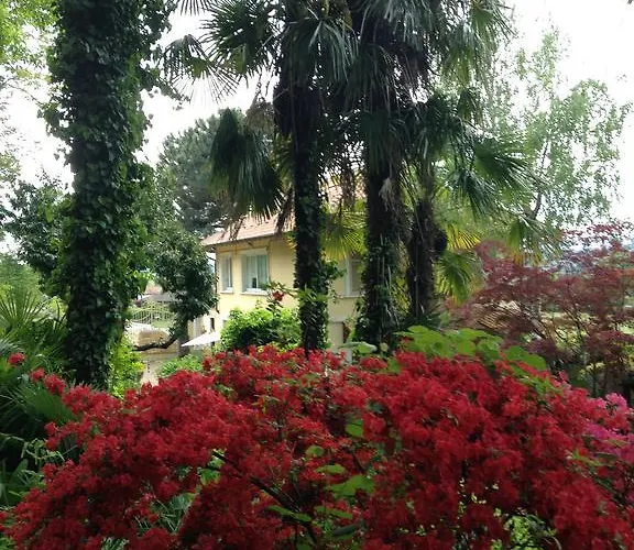 Bb Nel Pagliaio Taino