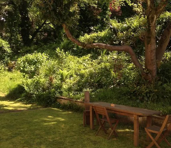 Bb Nel Pagliaio Taino