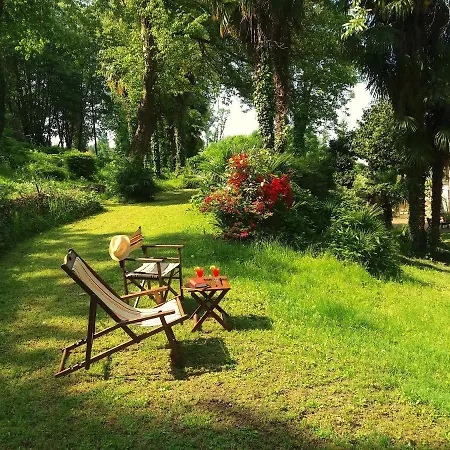 Bb Nel Pagliaio Taino